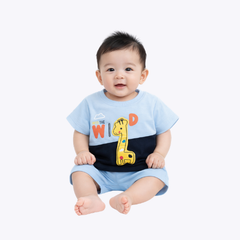Baby Boys Blue T-Shirt & Shorts Set – Summer Outfit