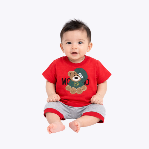Baby Boys Teddy T-Shirt & Shorts Set – Summer Outfit
